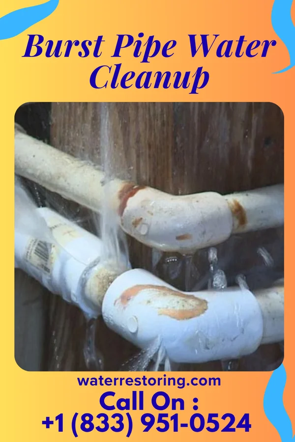 Burst Pipe Water Cleanup in Arkansas City, AR