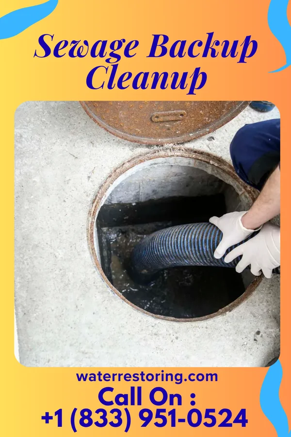 Sewage Backup Cleanup in Arkansas City, AR